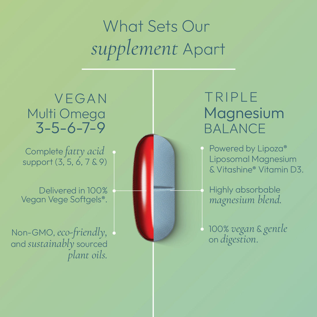 The Daily Ritual Duo :  Vegan Omega + Magnesium